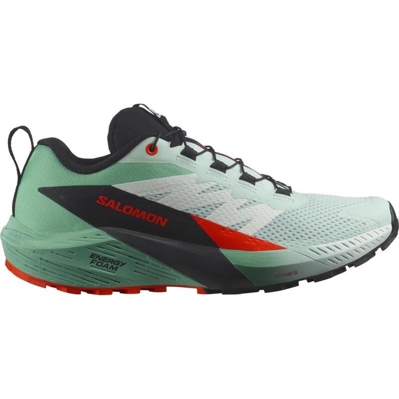 Dámska bežecká obuv Salomon SENSE RIDE 5 W Bay/Black/Chert