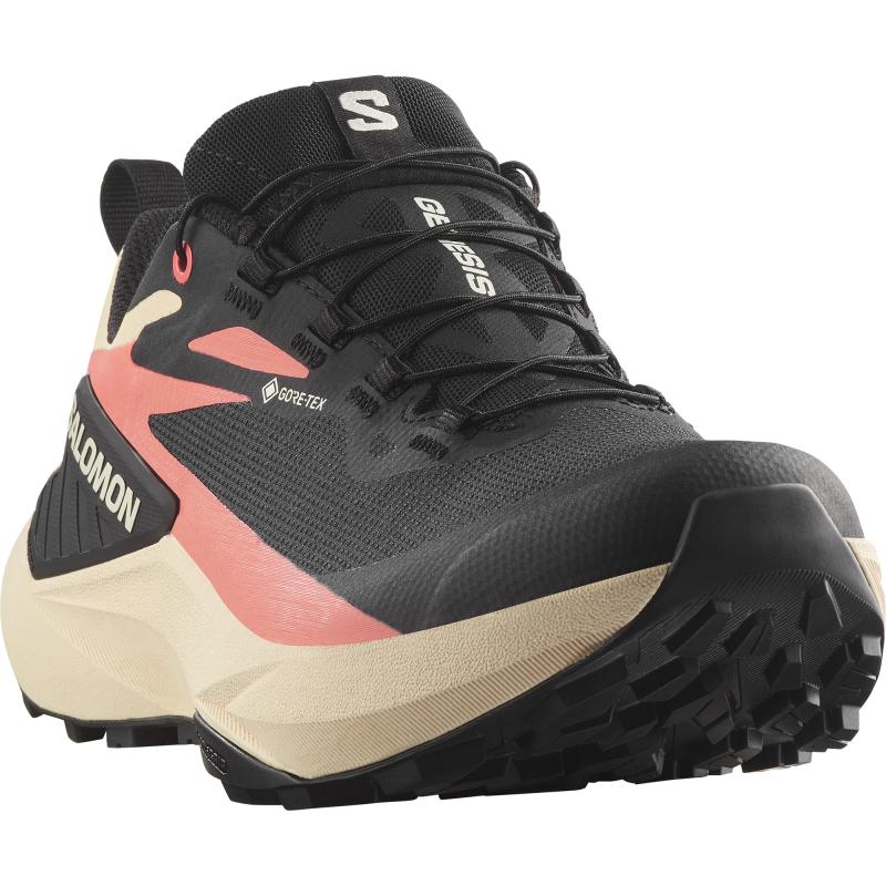 Nepremokavá dámska bežecká obuv Salomon GENESIS GTX W Black/Tender/Fuco 2