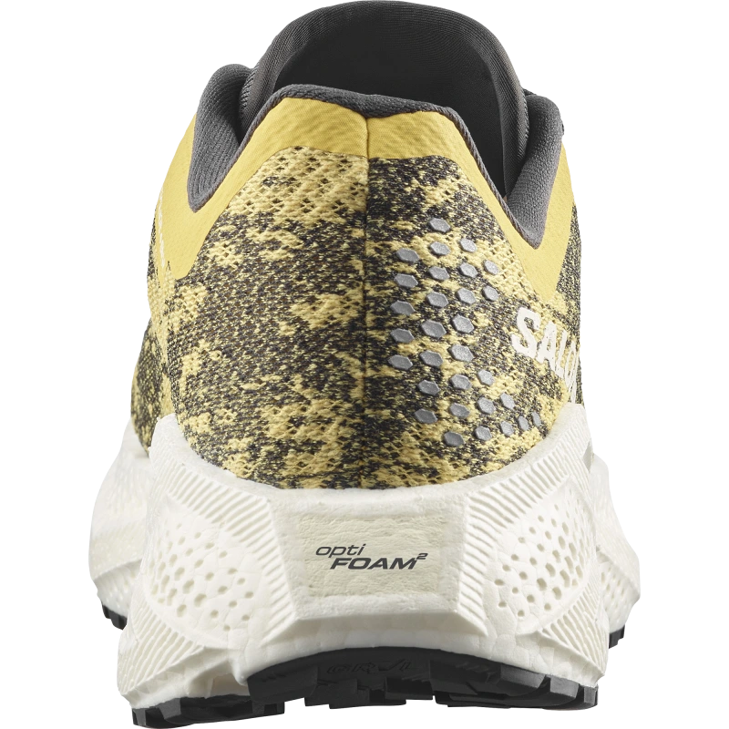 Dámska univerzálna bežecká obuv Salomon AERO GLIDE 4 GRVL W Beach Ball / Asphalt 2