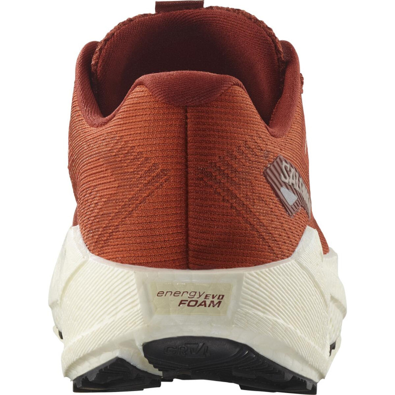 Dámska cestná bežecká obuv Salomon AERO BLAZE 3 GRVL W Burnt Ochre/Van 2