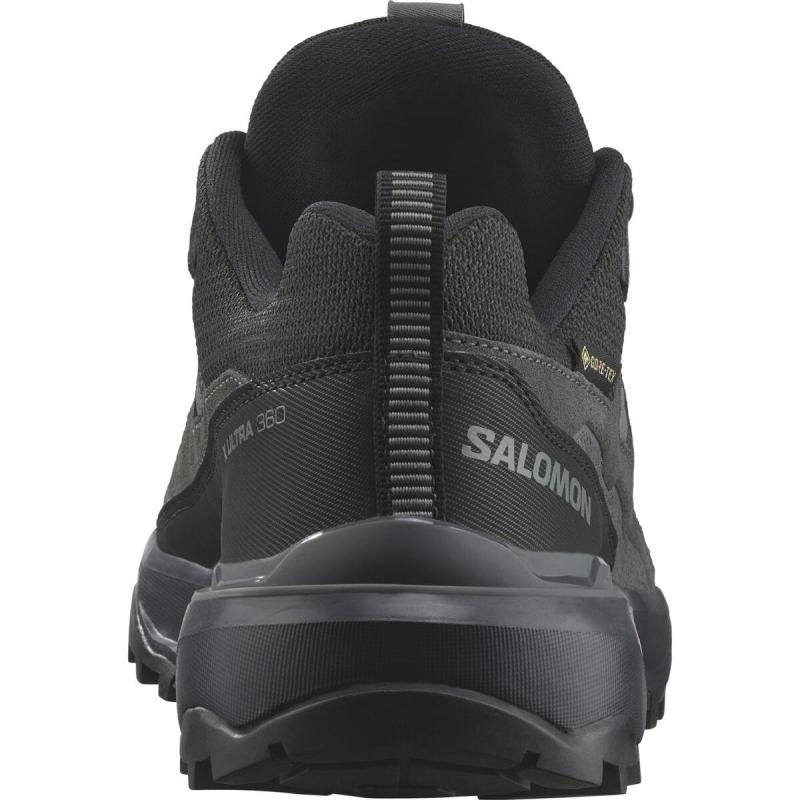 Dámska outdoorová obuv Salomon X ULTRA 360 LTR GTX W 2