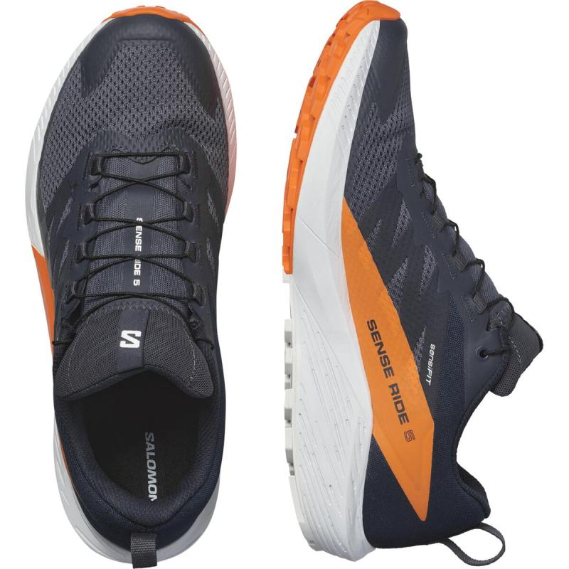 Pánska bežecká obuv Salomon SENSE RIDE 5 GTX Indink/Carbon/Drfi