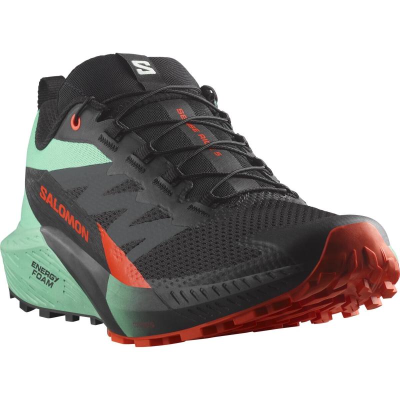 Pánska bežecká obuv Salomon SENSE RIDE 5 Black/Bay/Chert