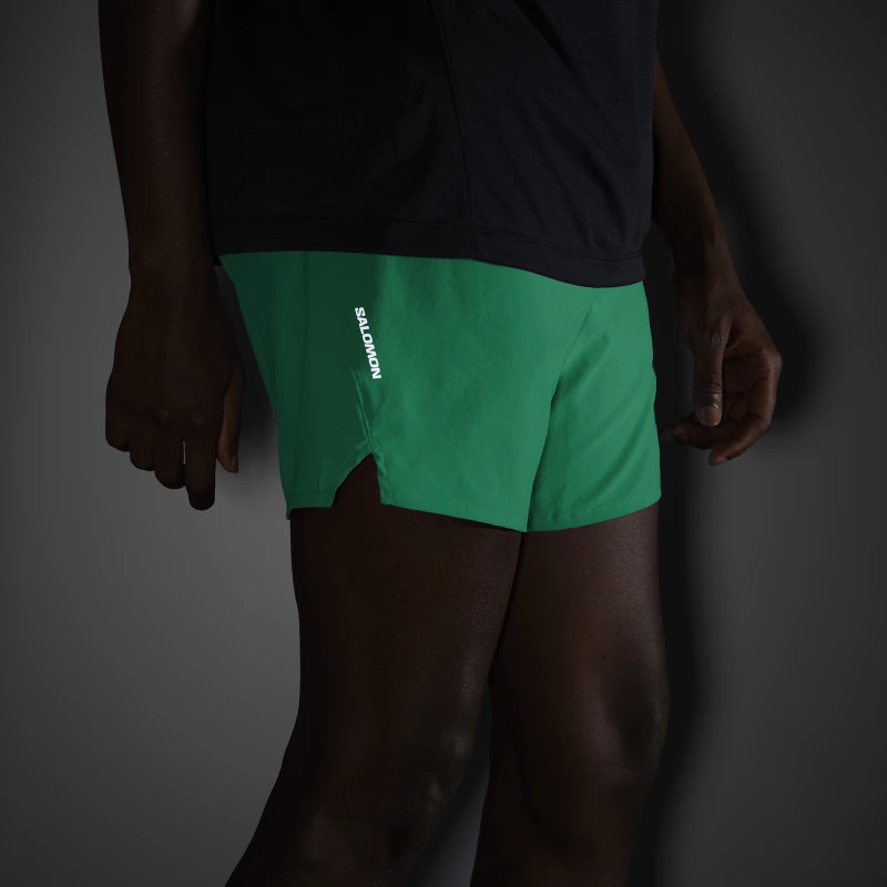 Bežecké nohavice Salomon SHKout CORE SHORTS 5" M PARAKEET 3