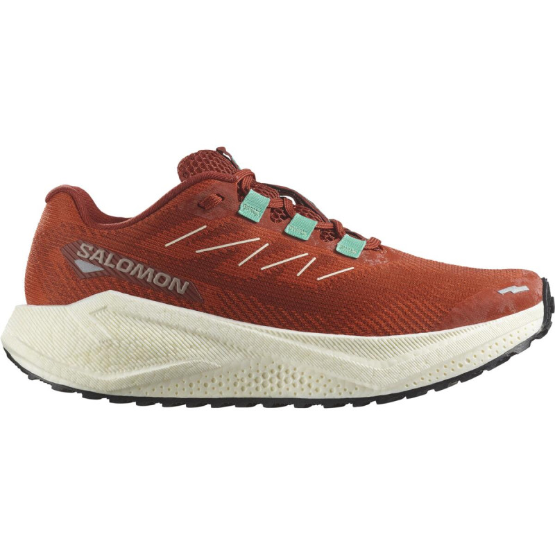 Dámska cestná bežecká obuv Salomon AERO BLAZE 3 GRVL W Burnt Ochre/Van