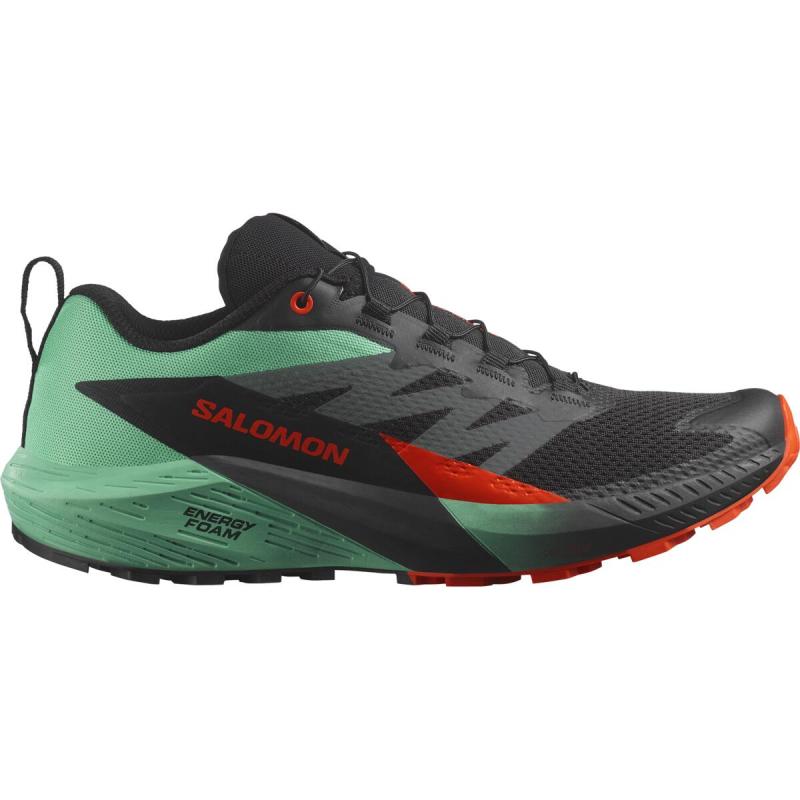 Pánska bežecká obuv Salomon SENSE RIDE 5 Black/Bay/Chert