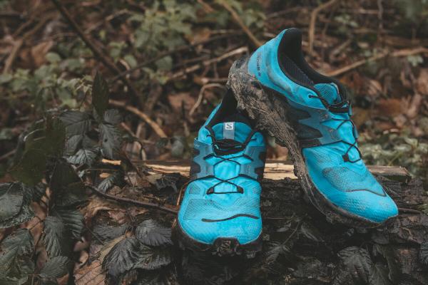 Pánska trailová obuv Salomon WILDCROSS 2 GTX Barrier Reef / Black / Mallard Blue