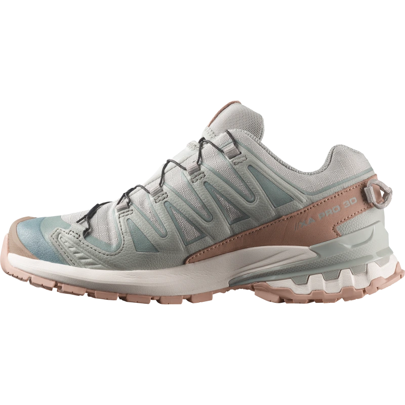 Dámska trailová obuv Salomon XA PRO 3D V9 GTX LIFELONG W Wrought Iron / Oxford Tan 4