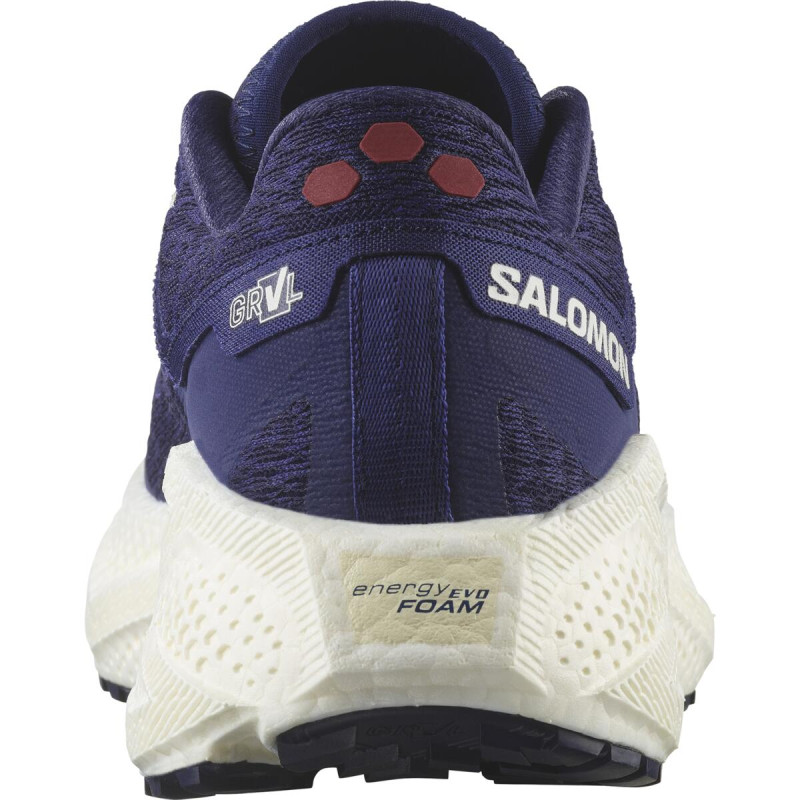 Dámska univerzálna bežecká obuv Salomon AERO GLIDE 3 GRVL W Astral/Vanila/H 2