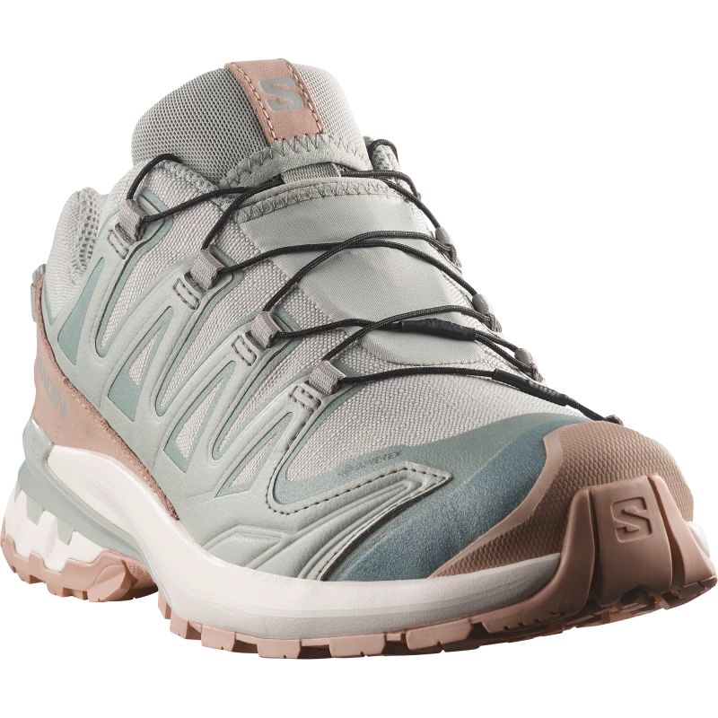 Dámska trailová obuv Salomon XA PRO 3D V9 GTX LIFELONG W Wrought Iron / Oxford Tan 1
