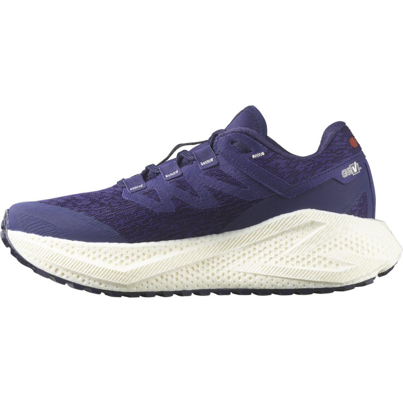 Dámska univerzálna bežecká obuv Salomon AERO GLIDE 3 GRVL W Astral/Vanila/H 4
