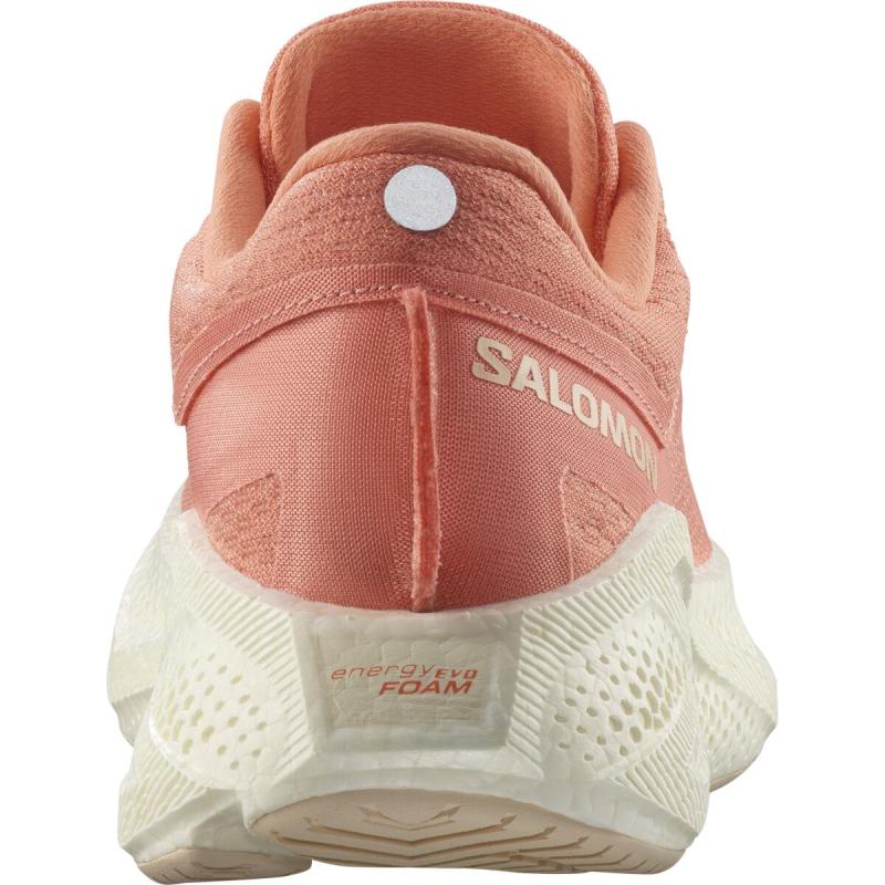Dámska cestná bežecká obuv Salomon AERO GLIDE 3 W Fuco / Vanila / Tender 3