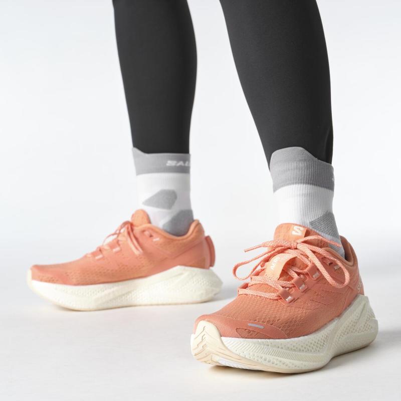 Dámska cestná bežecká obuv Salomon AERO GLIDE 3 W Fuco / Vanila / Tender 6
