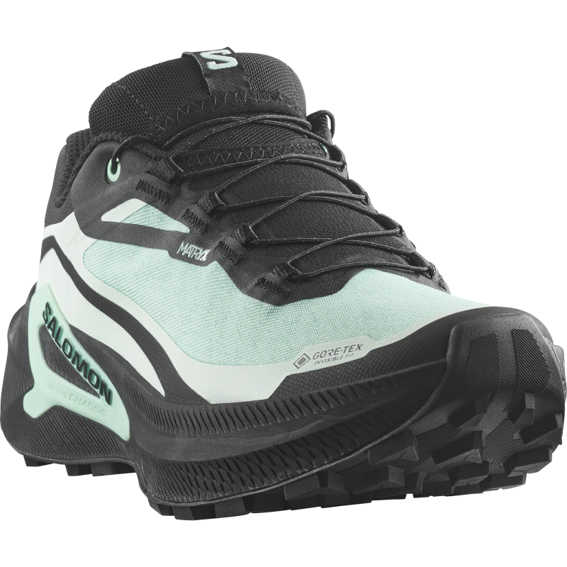 Nepremokavá dámska bežecká obuv Salomon GENESIS 2 GTX W Lichen / Black 1