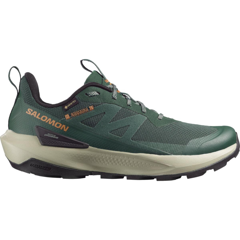 Pánska treková obuv SALOMON ELIXIR ACTIV GTX Scarab/Green Gables