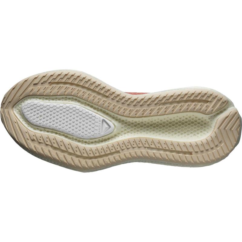 Dámska cestná bežecká obuv Salomon AERO GLIDE 3 W Fuco / Vanila / Tender 4