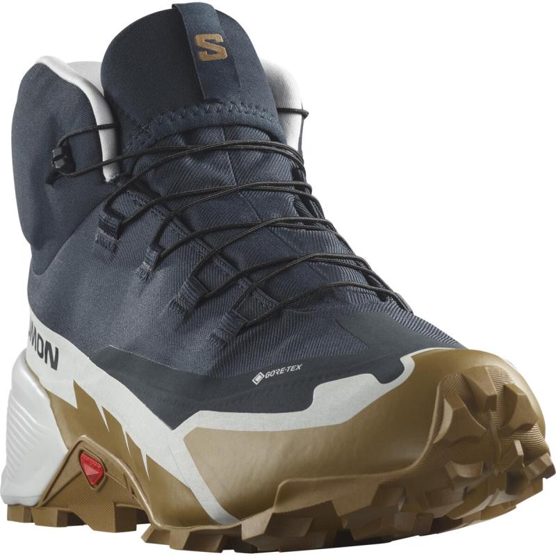 Pánska hikingová obuv CROSS HIKE MID GTX 2 Carbon / Glacier Gray / Bronze Brown