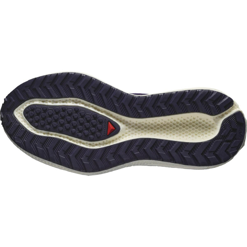 Dámska univerzálna bežecká obuv Salomon AERO GLIDE 3 GRVL W Astral/Vanila/H 3