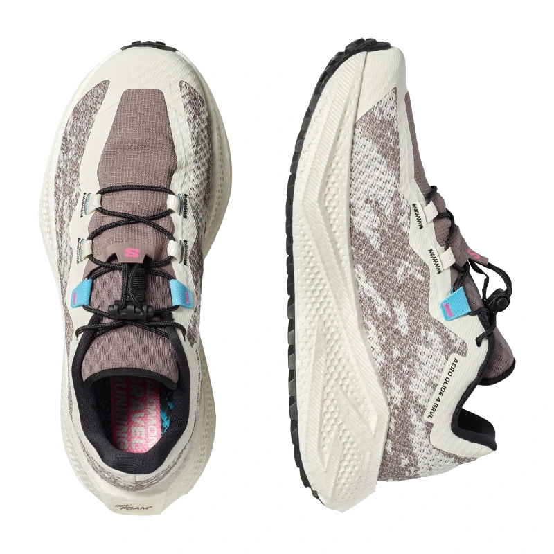 Dámska univerzálna bežecká obuv Salomon AERO GLIDE 4 GRVL W Vanilla Ice/Black 1