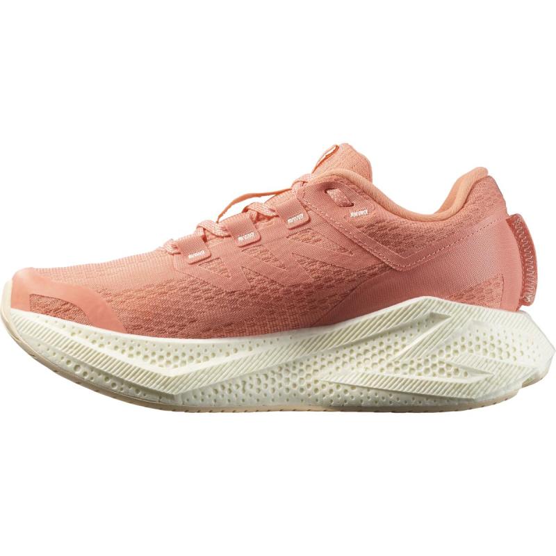 Dámska cestná bežecká obuv Salomon AERO GLIDE 3 W Fuco / Vanila / Tender 1
