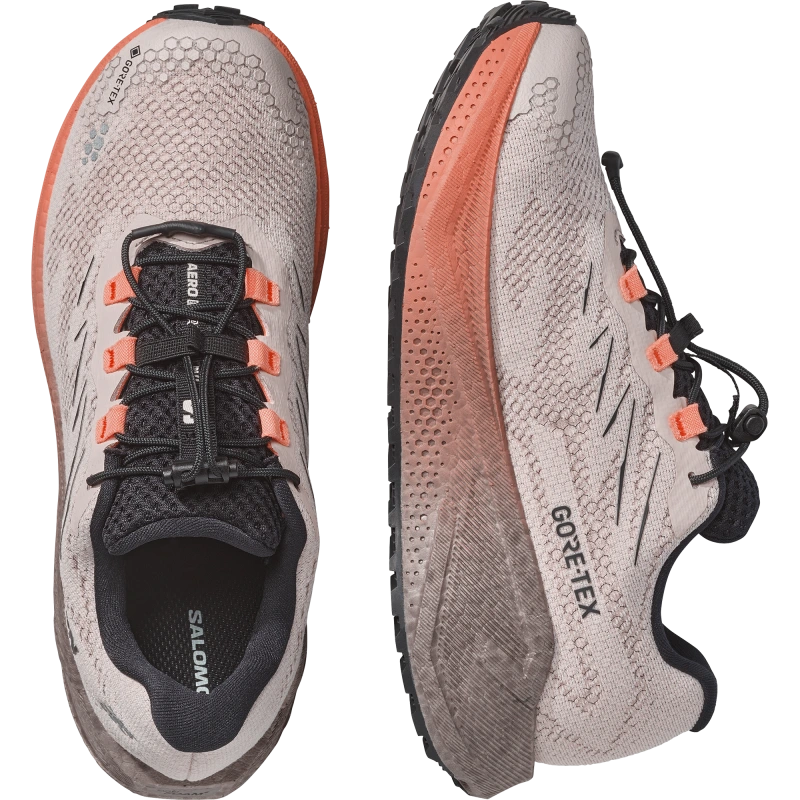 Dámska bežecká obuv Salomon AERO BLAZE 4 GRVL GTX W Rainy Day / Black 5