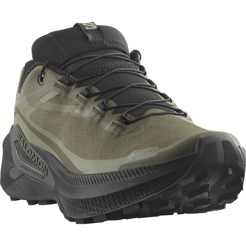 Nepremokavá pánska bežecká obuv Salomon GENESIS 2 GTX Grape Leaf / Black 1