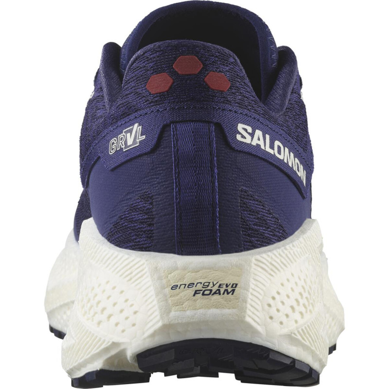 Pánska univerzálna bežecká obuv Salomon AERO GLIDE 3 GRVL Astral/Vanila/Hau 2