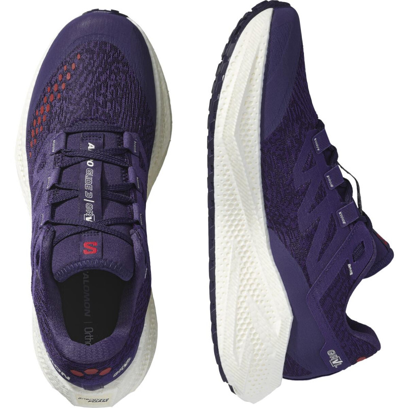 Pánska univerzálna bežecká obuv Salomon AERO GLIDE 3 GRVL Astral/Vanila/Hau 5