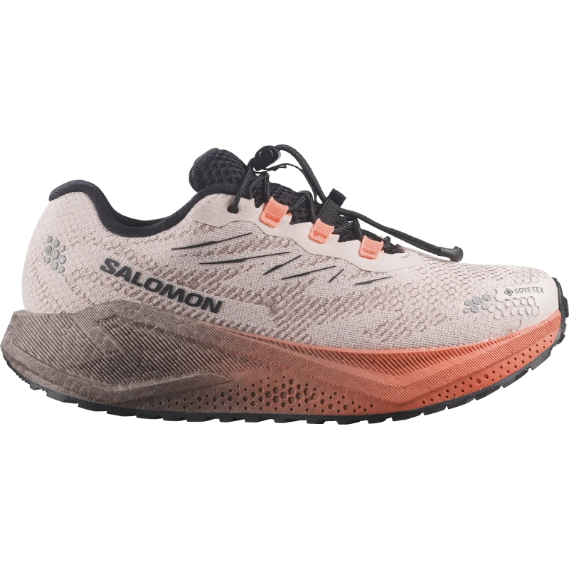 Dámska bežecká obuv Salomon AERO BLAZE 4 GRVL GTX W Rainy Day / Black