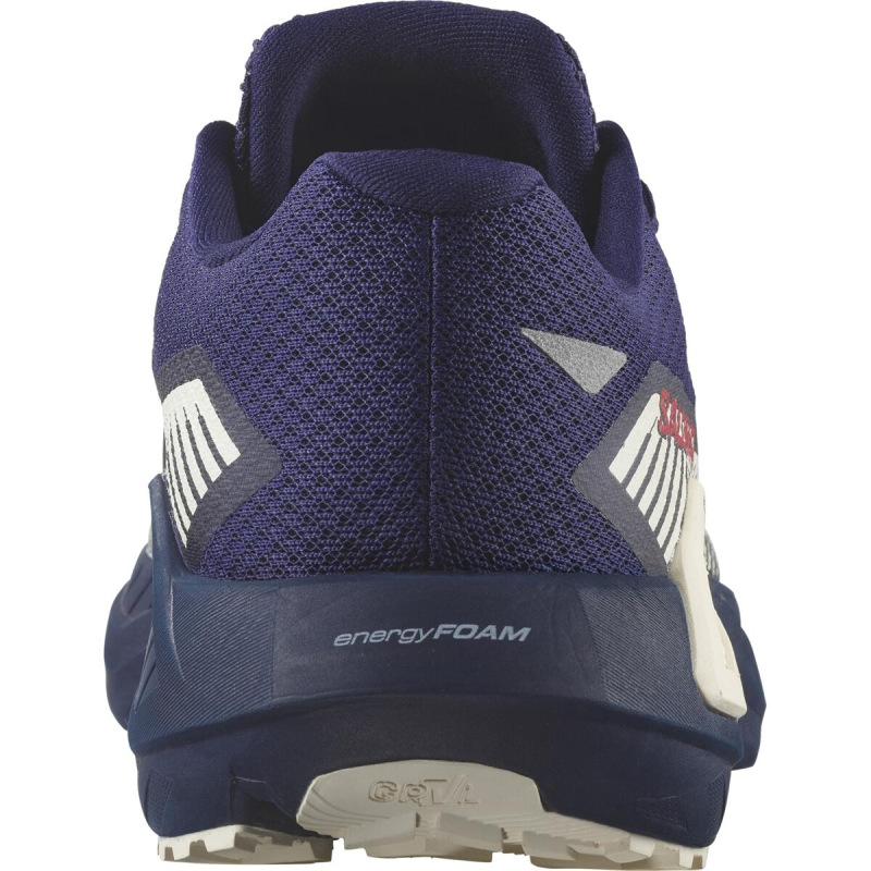 Pánska bežecká obuv Salomon DRX DEFY GRVL Astral/Mar Bl/Vanila 2