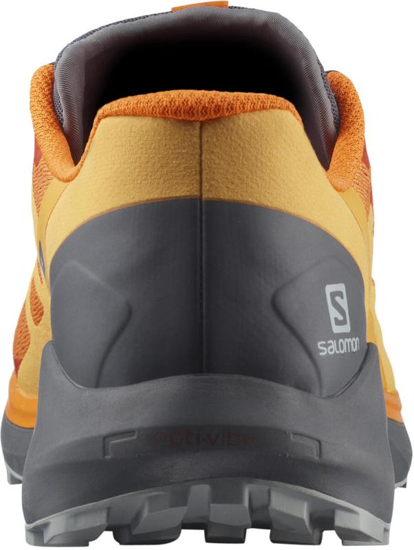 Pánska bežecká obuv Salomon SENSE RIDE 4 Vibrant Orange/Ebony/Q