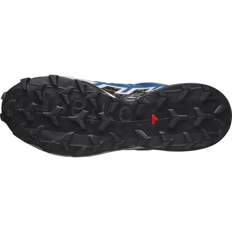 Pánska trailová obuv Salomon SPEEDCROSS 6 GTX Poseid/Black/LunRo 4