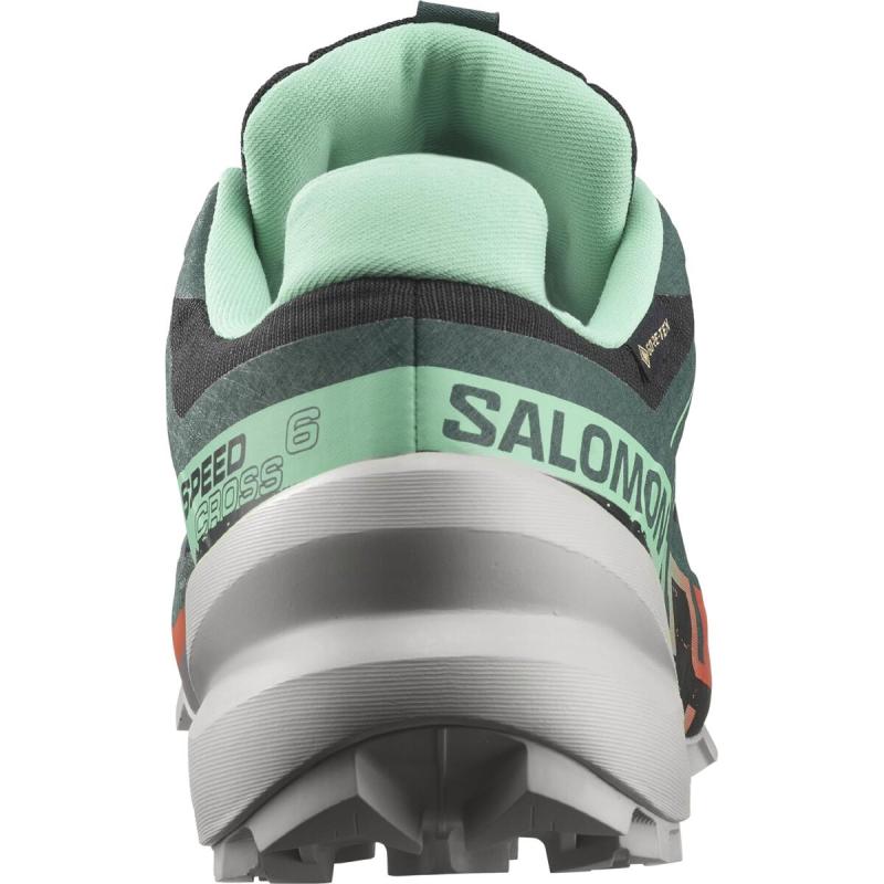 Dámska trailová obuv Salomon SPEEDCROSS 6 GTX W Black/Electg/Che