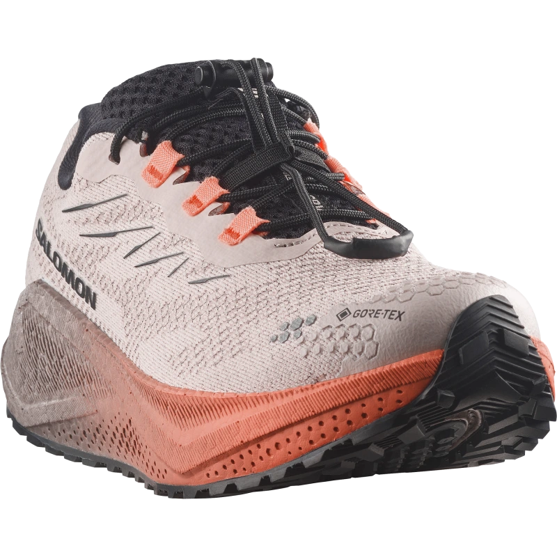 Dámska bežecká obuv Salomon AERO BLAZE 4 GRVL GTX W Rainy Day / Black 1