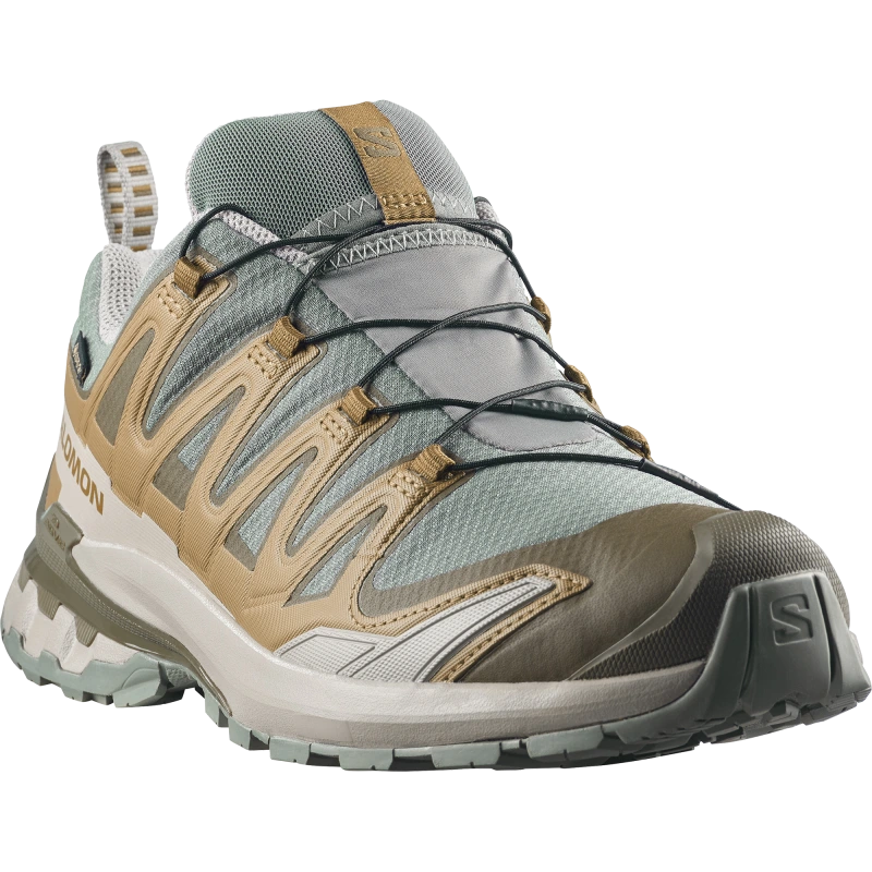 Pánska trailová obuv Salomon XA PRO 3D V9 GTX Sedona Sage / Brilliant Oliv 1