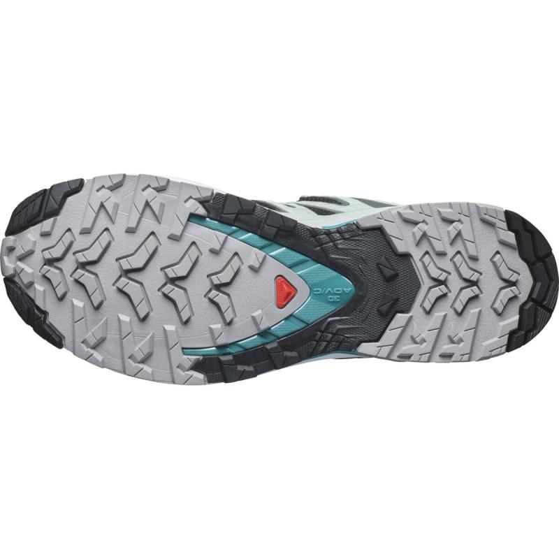 Dámska trailová obuv Salomon XA PRO 3D V9 GTX W Black/Bleaaq/Hrb