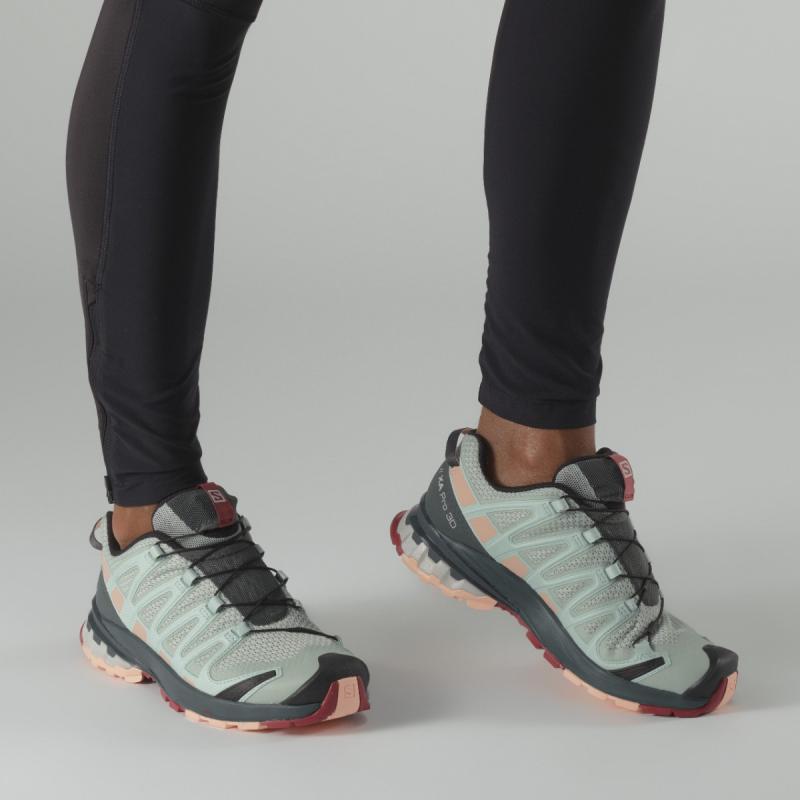Dámska trailová obuv Salomon XA PRO 3D v8 W Aqua Gray / Urban Chic