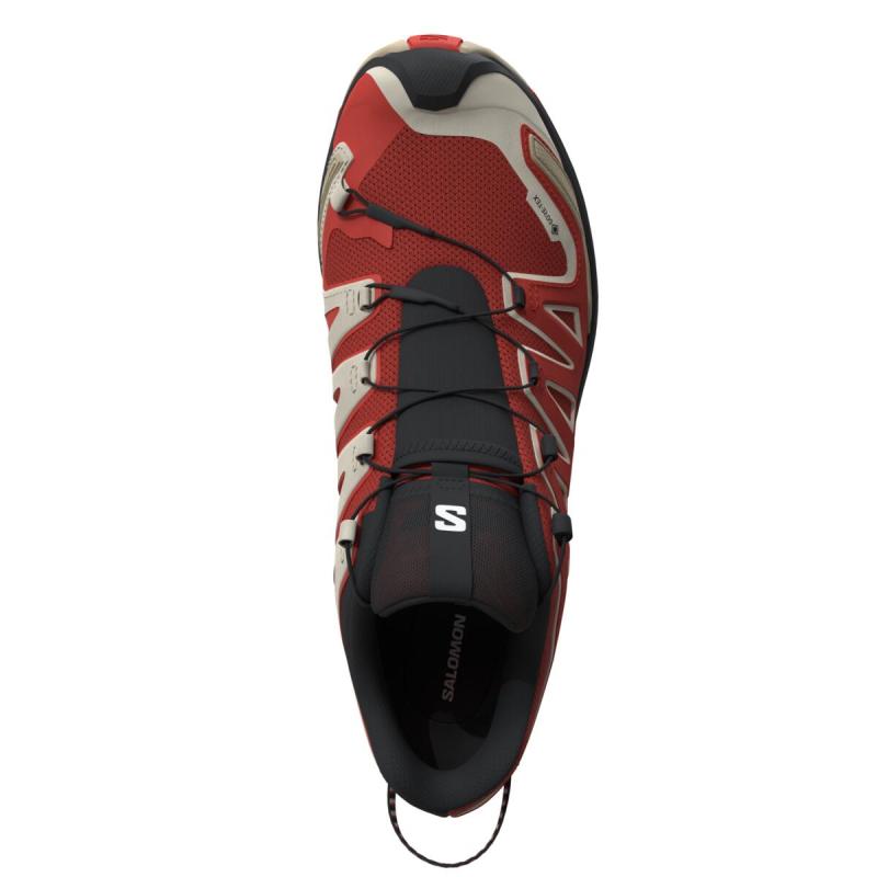 Pánska trailová obuv Salomon XA PRO 3D V9 GTX Aurora Red / Safari / White