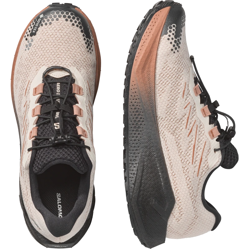 Pánska bežecká obuv Salomon AERO BLAZE 4 GRVL GTX Vanilla Ice / Black 5