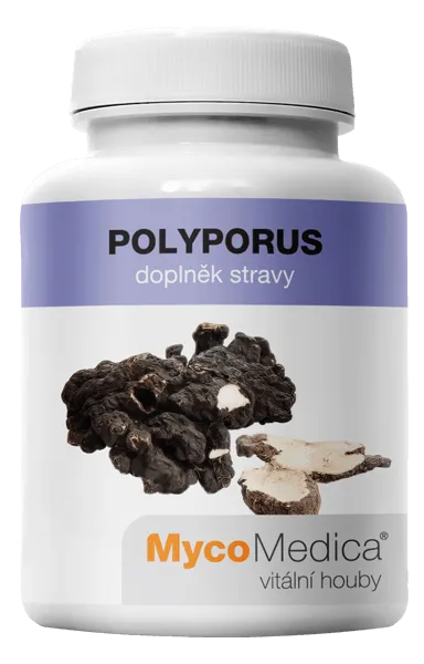 Polyporus I MycoMedica®