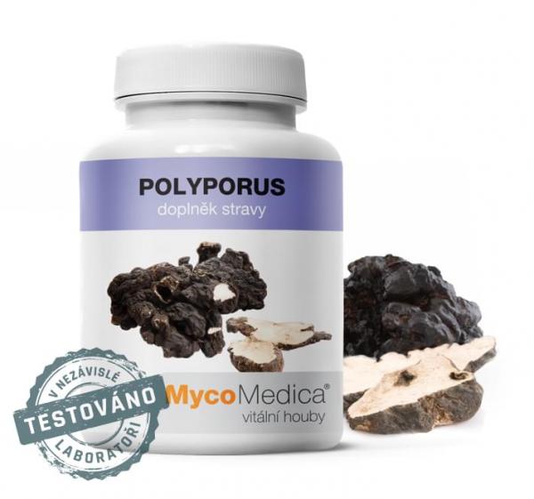 Polyporus I MycoMedica®