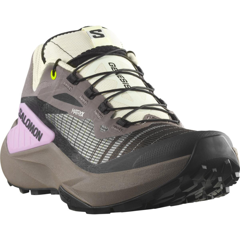 Dámska bežecká obuv Salomon GENESIS W Iron/Vanilla Ice/Cyclamen 1