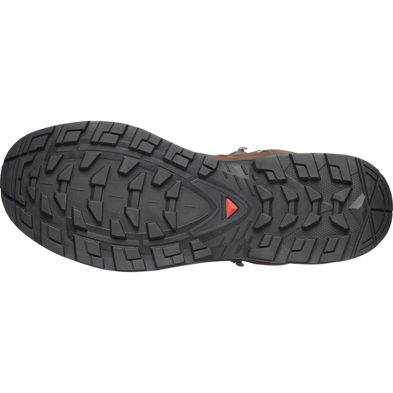Pánska turistická obuv Salomon QUEST 5 GTX Dark Earth / Black 3