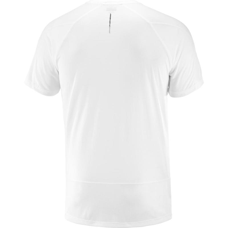 Pánske bežecké tričko Salomon CROSS RUN SS TEE M White