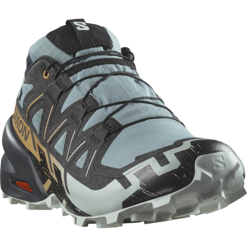Pánska trailová obuv Salomon SPEEDCROSS 6 GTX Troope/Black/Woodt 1