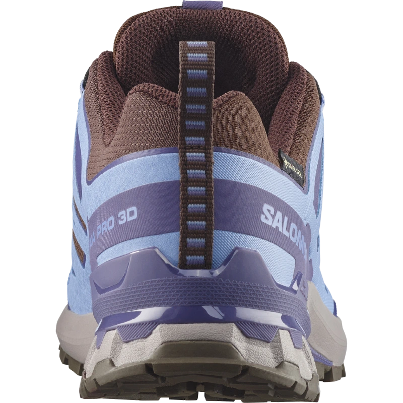 Dámska trailová obuv Salomon XA PRO 3D V9 STORM GTX W Dark Earth / Brunnera Blue 2