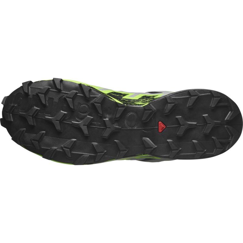 Pánska trailová obuv Salomon SPEEDCROSS 6 GTX Black/Alloy/Grgeck 4