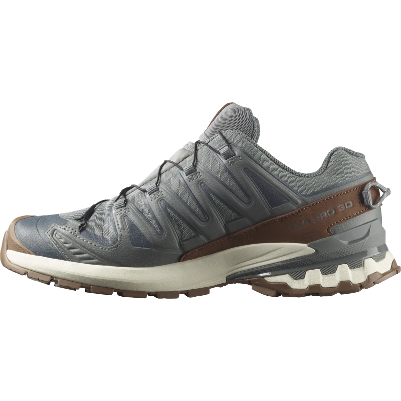 Pánska trailová obuv Salomon XA PRO 3D V9 GTX LIFELONG Sedona Sage / Coyote Brown 4