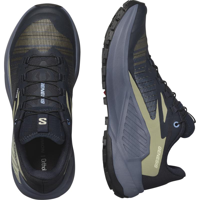 Dámska bežecká obuv Salomon GENESIS W Carbon / Grisaille / Aloe Wash 7