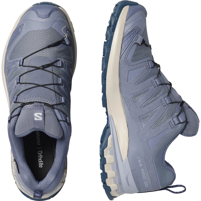 Dámska trailová obuv Salomon XA PRO 3D V9 GTX W Grisaille/Tradewinds 5